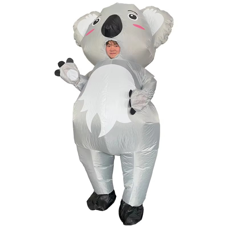 Koala (4).jpg